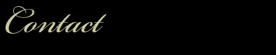 Rental Terms